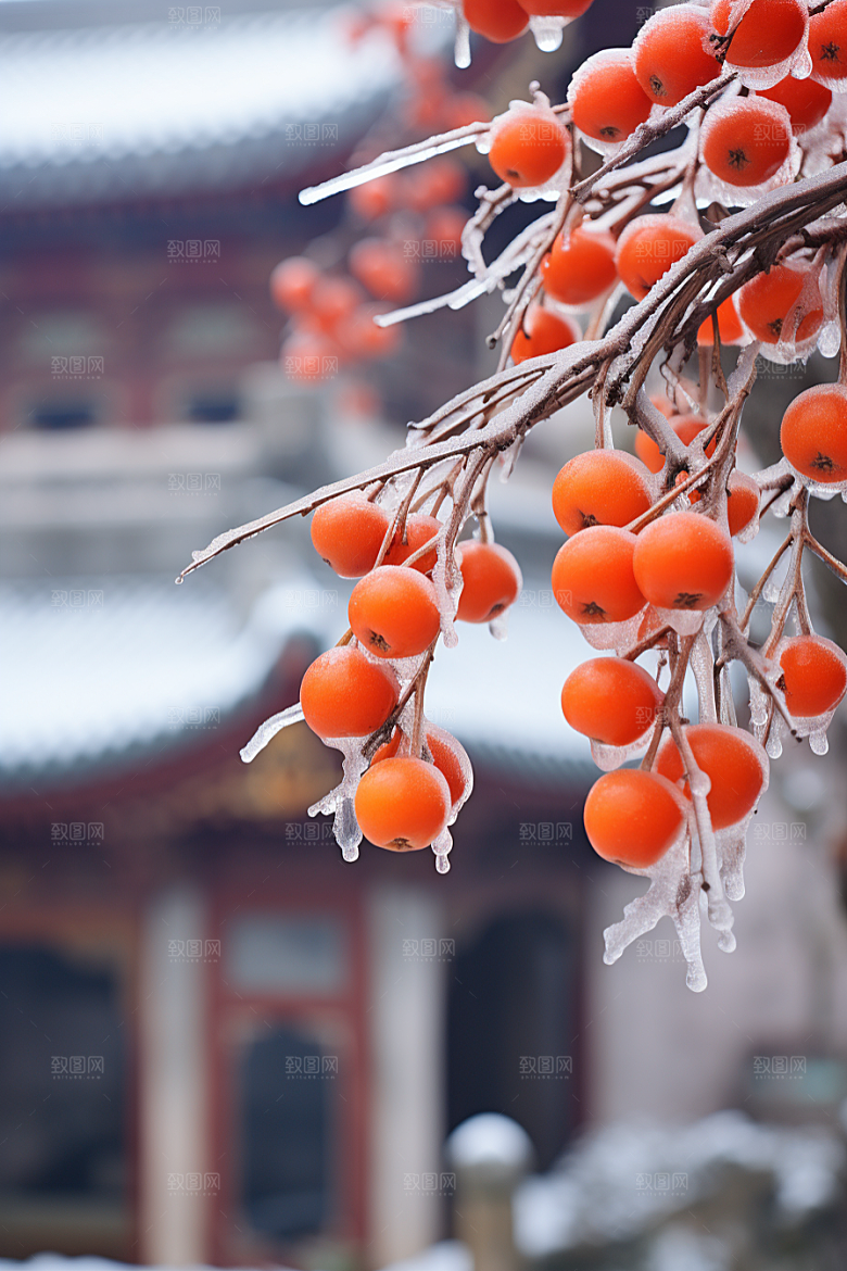 深秋元素秋季自然素材