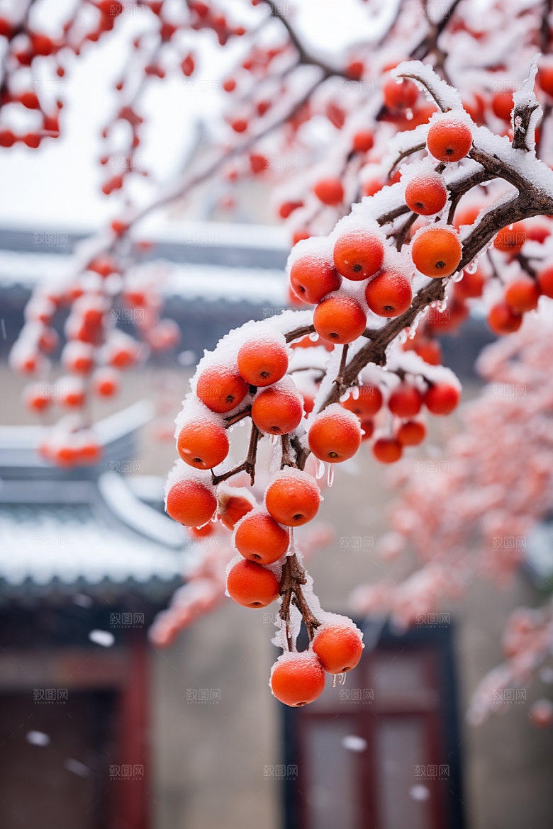 深秋元素霜降氛围素材