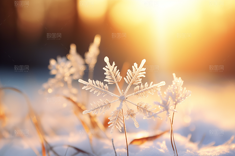 深秋元素霜降立秋素材