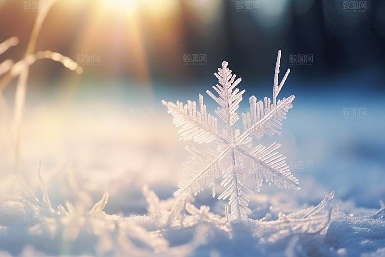 深秋元素氛围降温素材