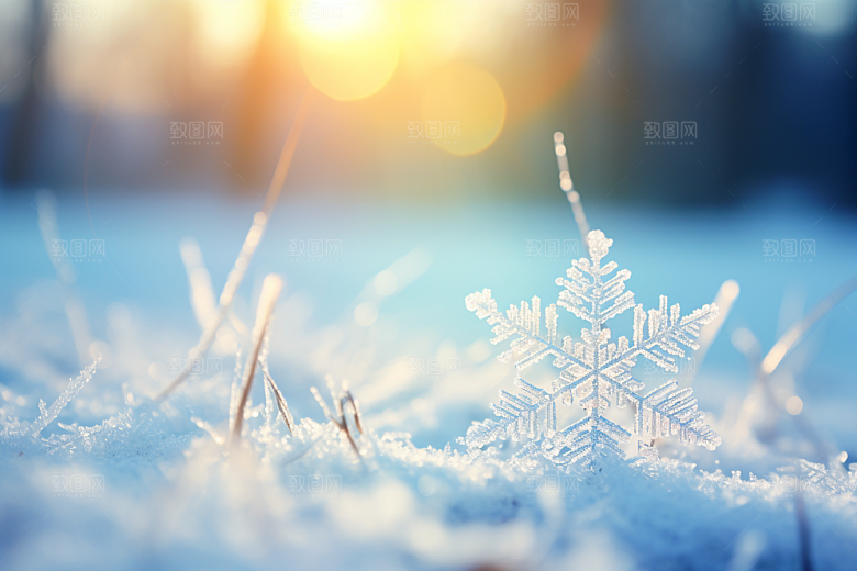 深秋元素氛围霜降素材