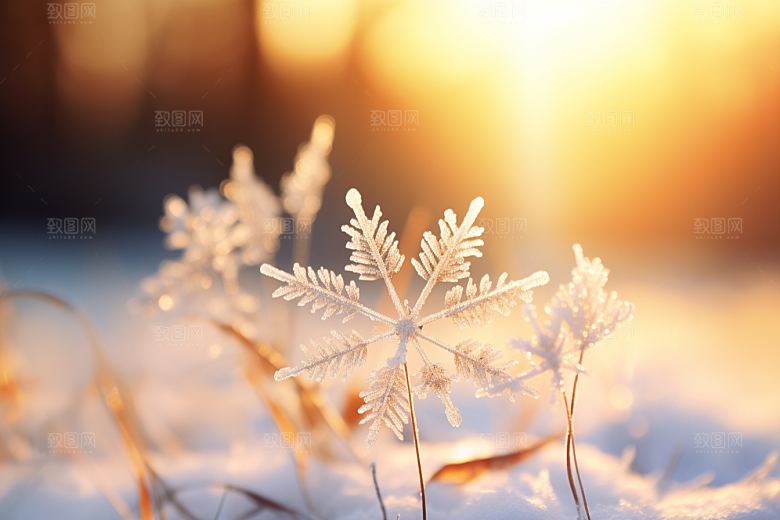 深秋元素下霜秋季素材