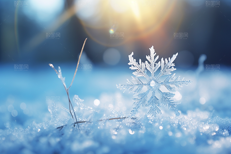 深秋元素降温氛围素材