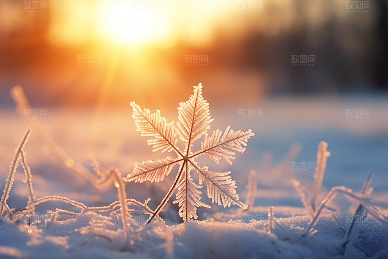 深秋元素秋季氛围素材