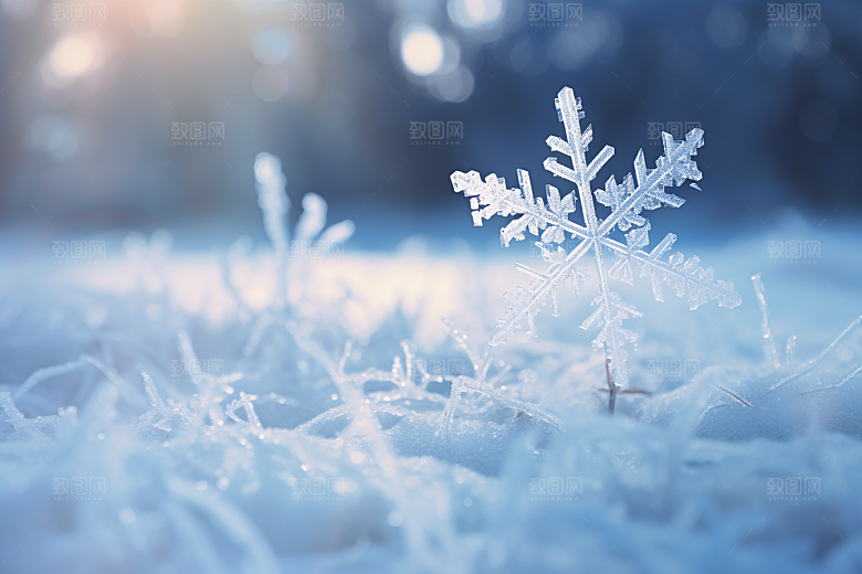 深秋元素寒冷下霜素材