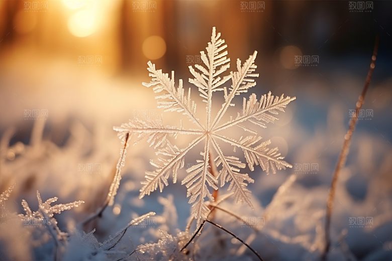 深秋元素氛围降温素材