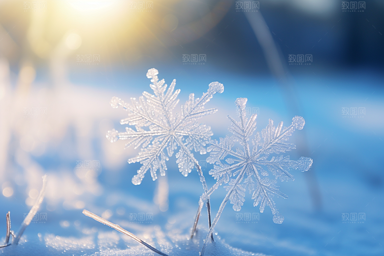 深秋元素寒冷高清素材