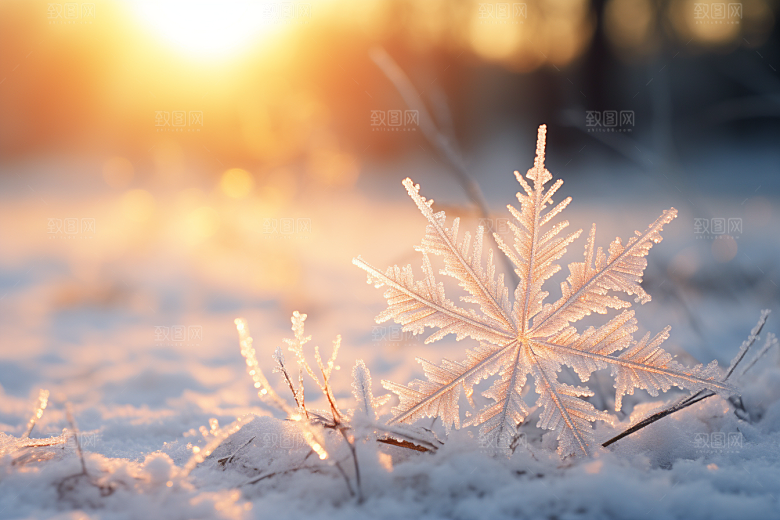 深秋元素高清氛围素材