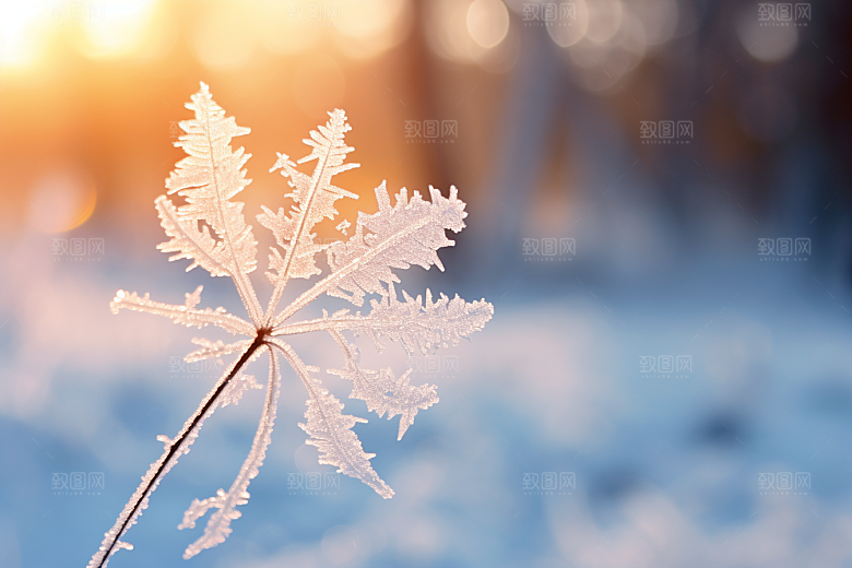 深秋元素下霜氛围素材