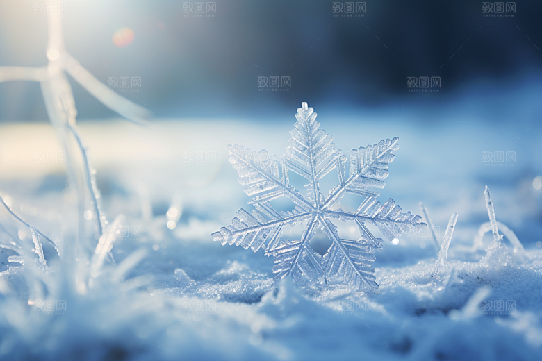深秋元素降温氛围素材