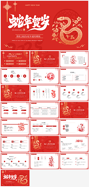蛇年新年主题总结策划方案通用模板PPT