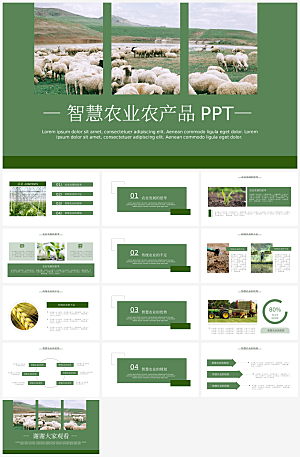 农业产品介绍营销宣传绿色食品推广PPT