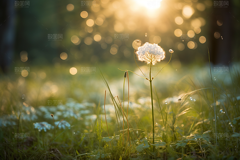 感恩节爱心温暖发光素材