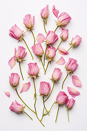 干花玫瑰食用玫瑰美容养颜摄影图