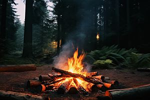 露营篝火取暖野外摄影图