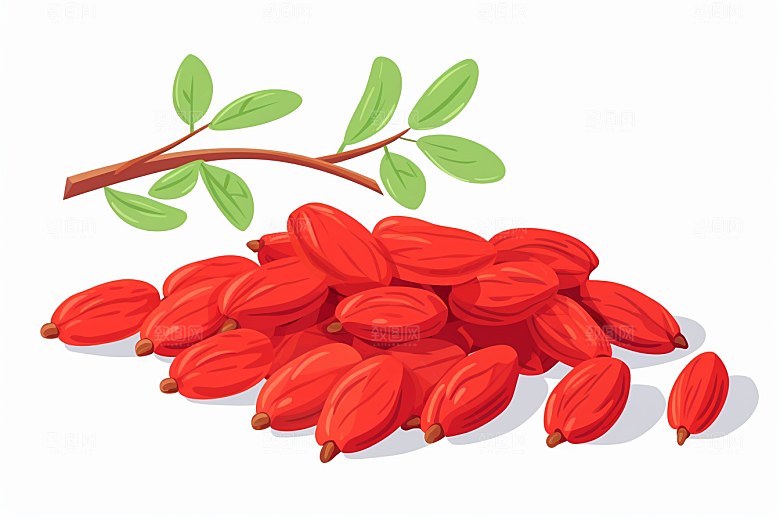 枸杞植物中医插画