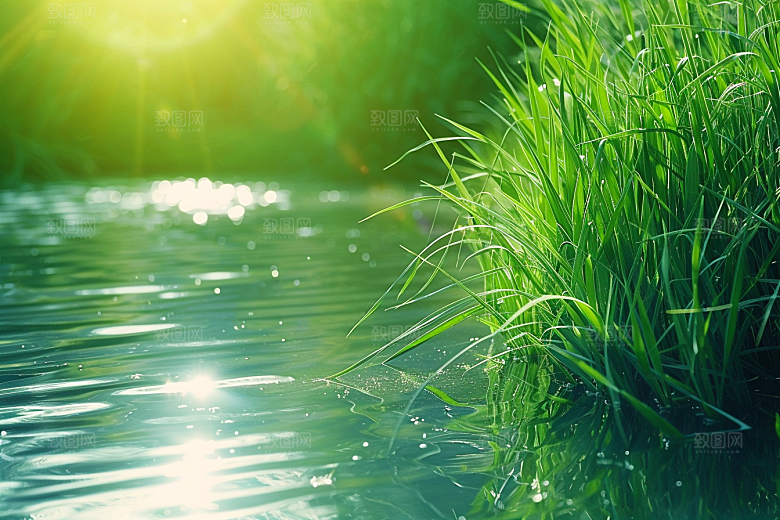 狗尾巴草草原自然摄影图