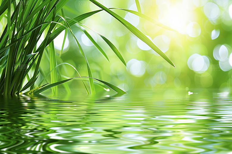 狗尾巴草清新夏天摄影图