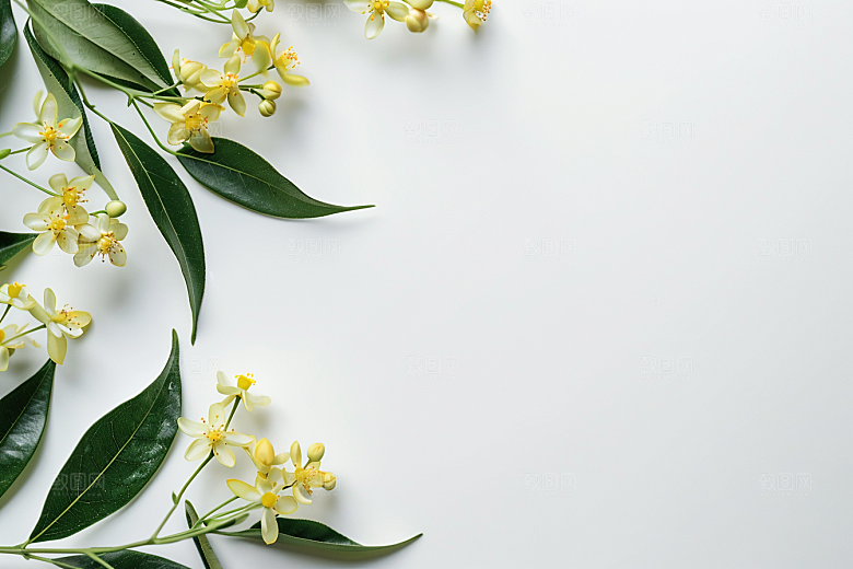 桂花秋天金桂摄影图