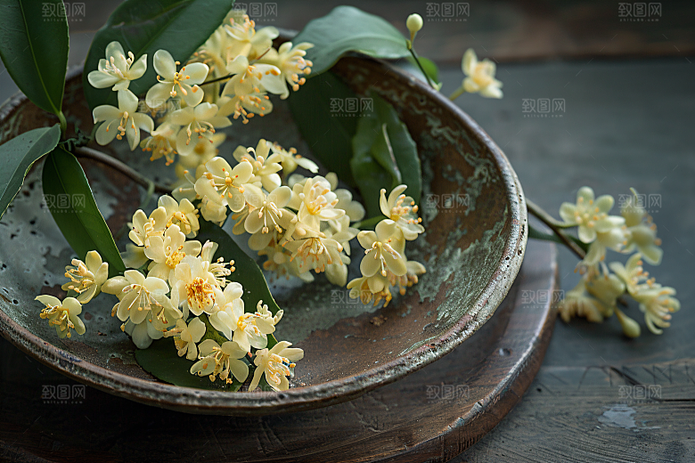 桂花唯美清新摄影图