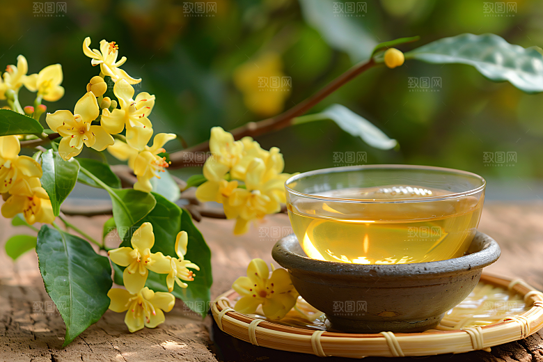 桂花树木四季桂摄影图