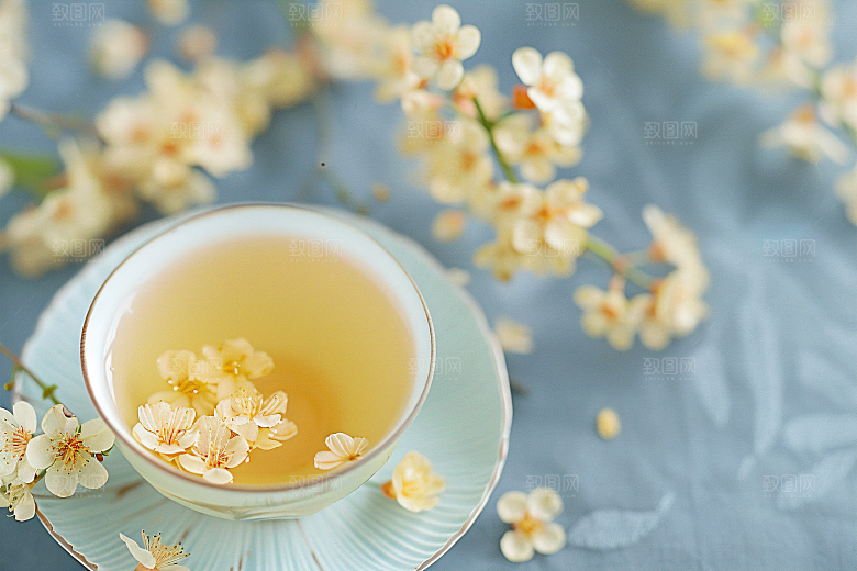 桂花树木自然摄影图