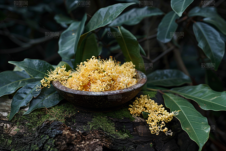 桂花四季桂秋季摄影图