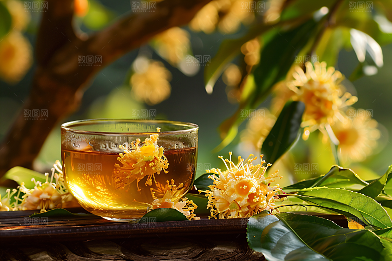 桂花金桂树木摄影图