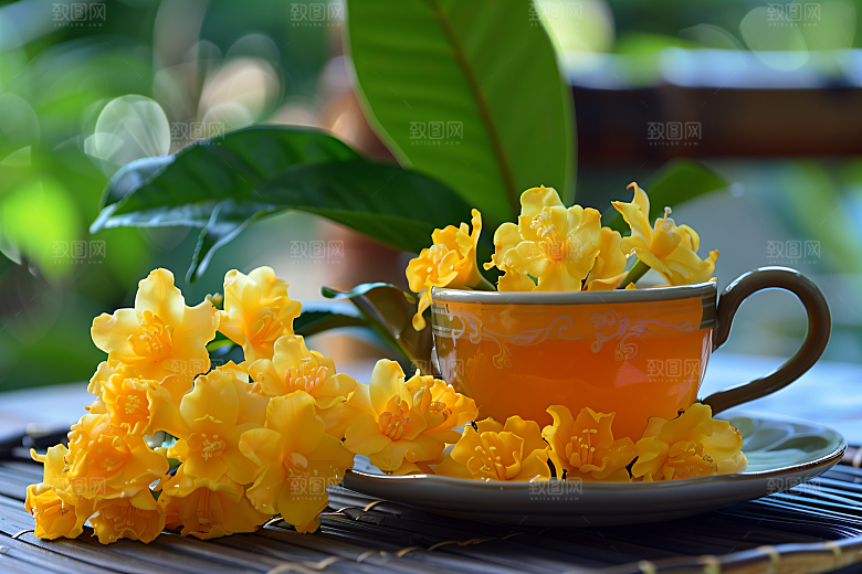 桂花自然初秋摄影图