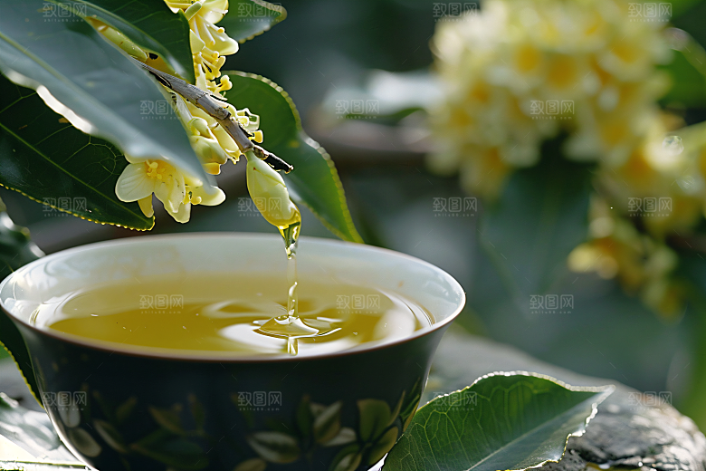 桂花花卉高清摄影图