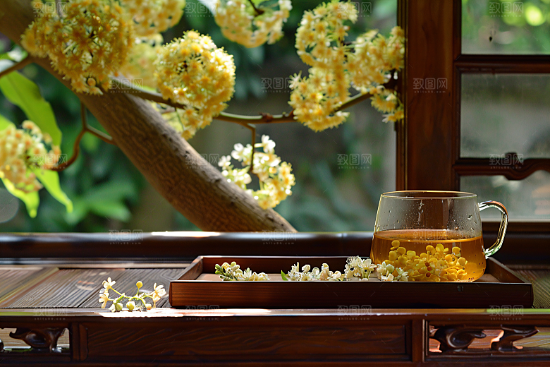 桂花唯美初秋摄影图