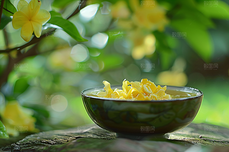 桂花四季桂自然摄影图