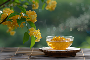 桂花初秋秋季摄影图