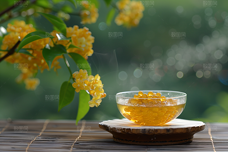 桂花初秋秋季摄影图