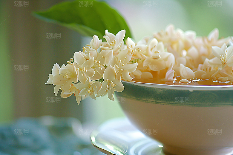 桂花清新花卉摄影图