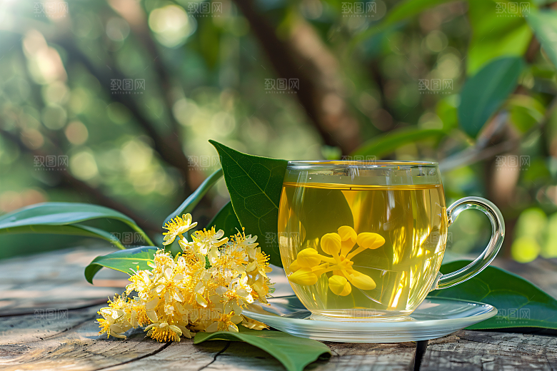 桂花自然金桂摄影图