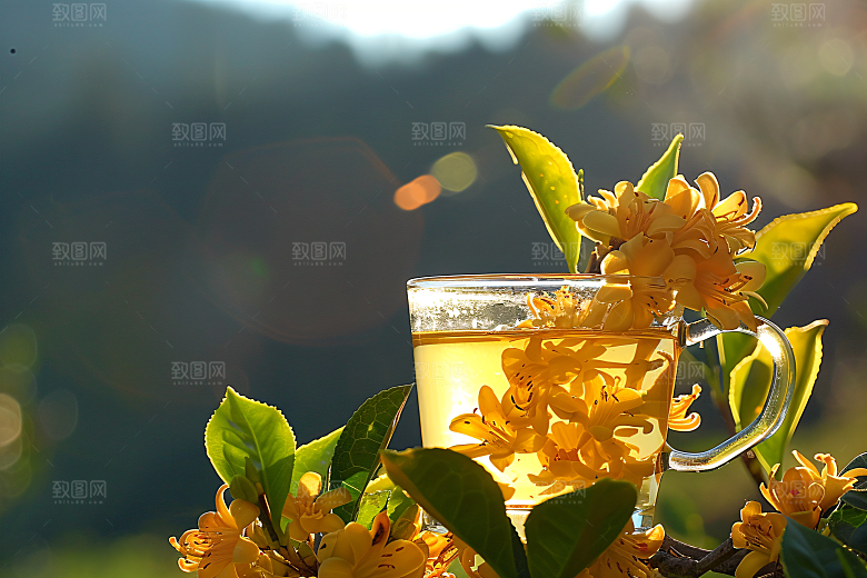 桂花清新初秋摄影图