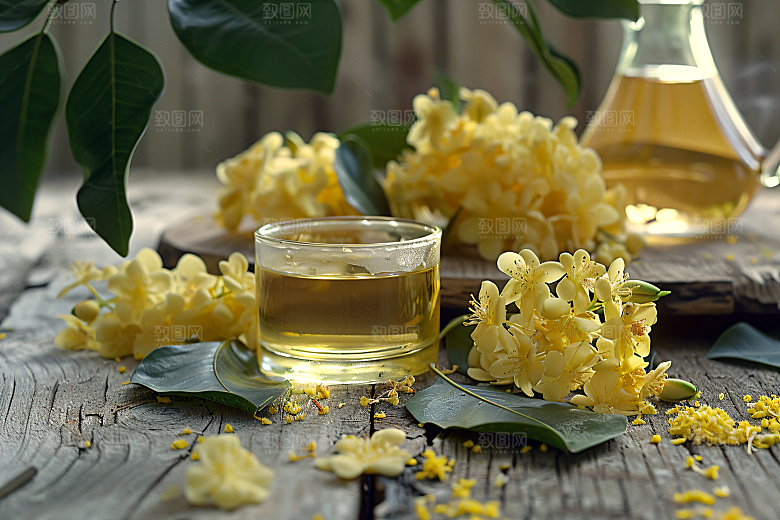 桂花自然秋季摄影图