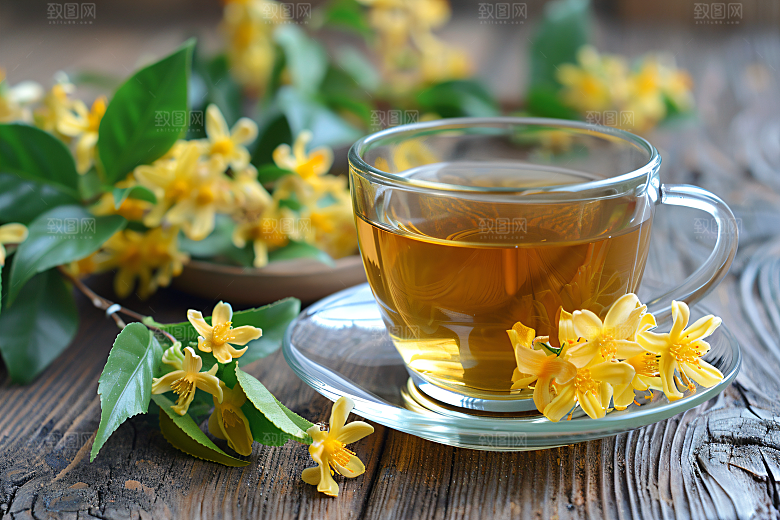 桂花高清植物摄影图