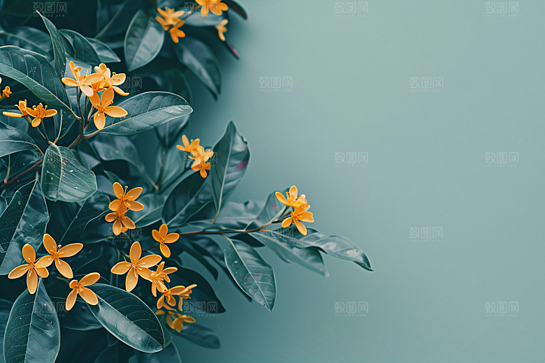 桂花初秋四季桂摄影图