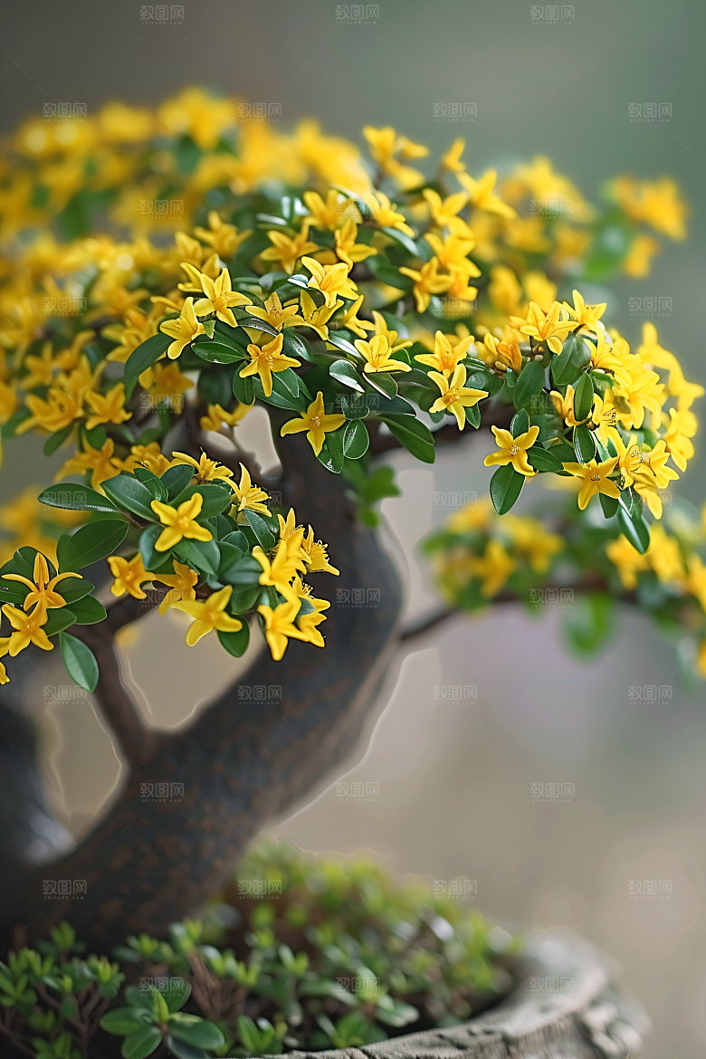 桂花唯美秋季摄影图