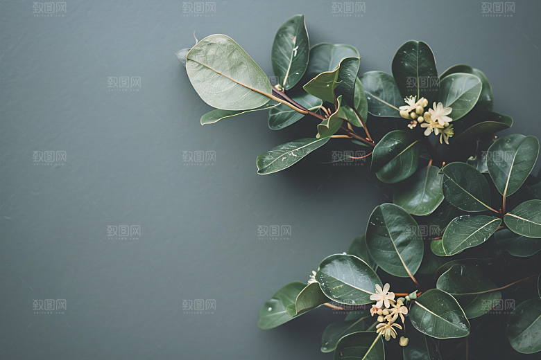 桂花芬芳清新摄影图