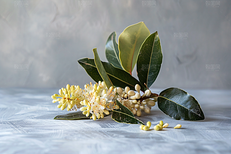 桂花唯美自然摄影图