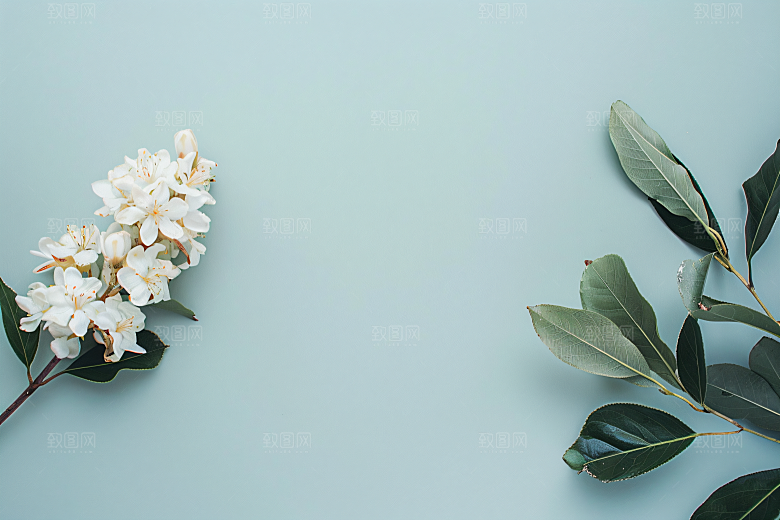 桂花高清树木摄影图