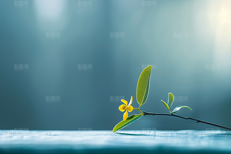 桂花初秋芳香摄影图