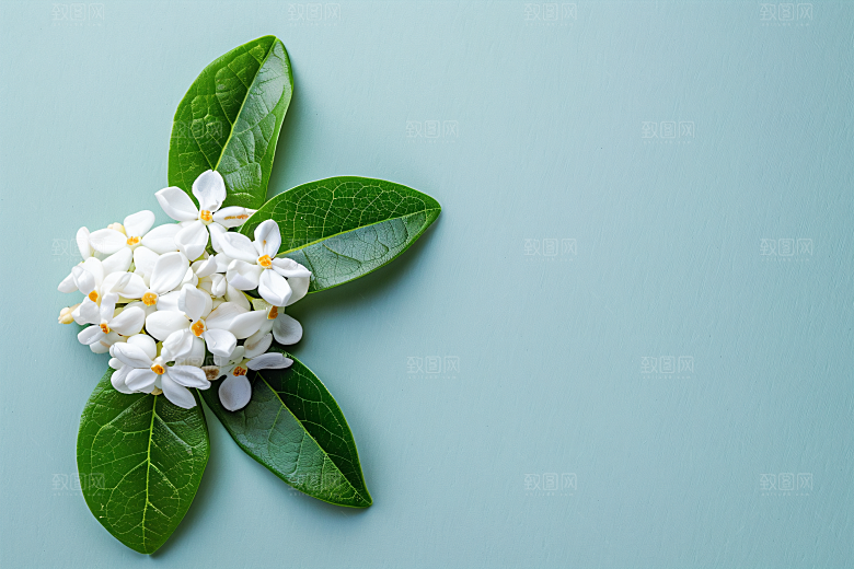 桂花芬芳秋季摄影图
