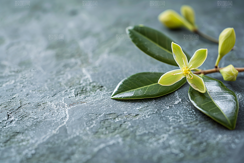 桂花芬芳金桂摄影图
