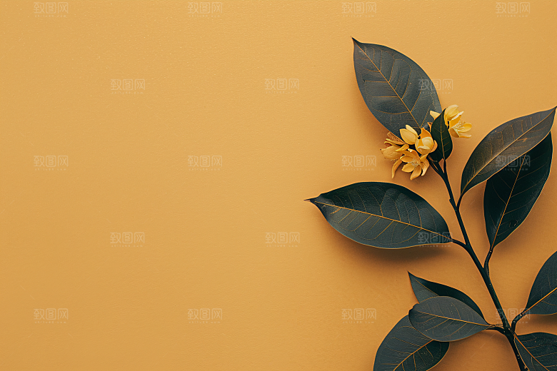 桂花清新高清摄影图