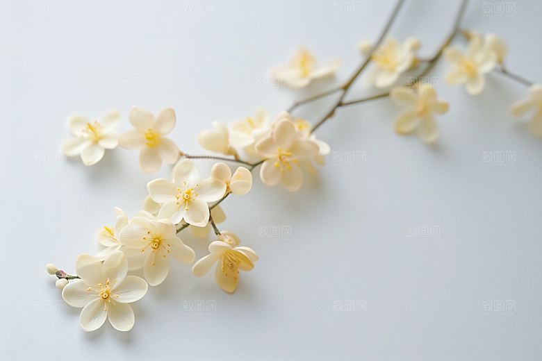 桂花秋季芬芳摄影图