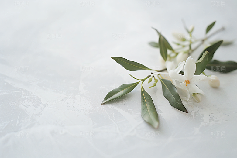 桂花金桂树木摄影图